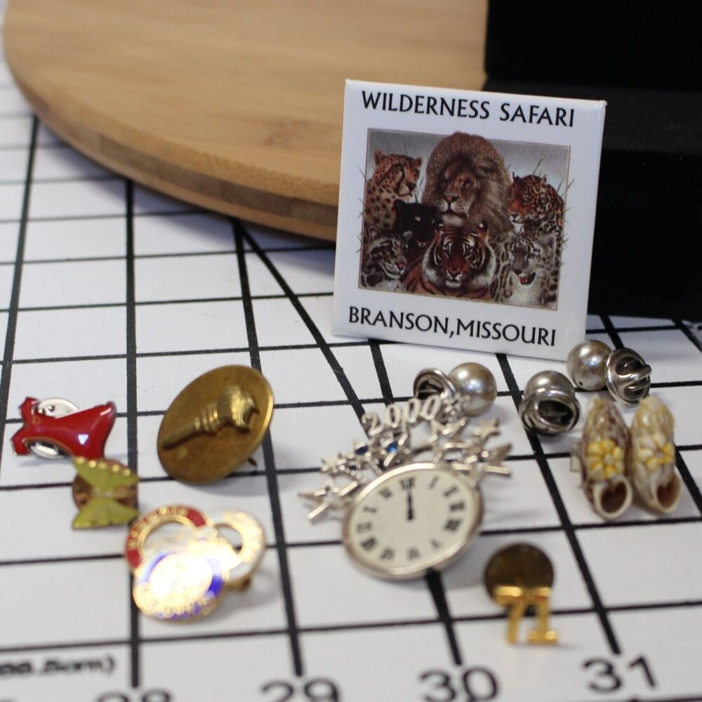 Vtg Collectible Lapel Pin Lot Approx 10 Pieces includes Wildness Safari Pin
